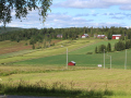 En-mycket-vacket-vi-fran-Hakans-gard