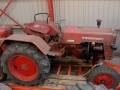 D 219